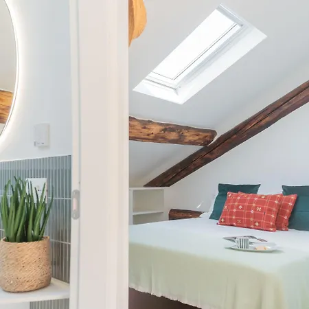 Apartment Rooftop Nest In Center By Rent